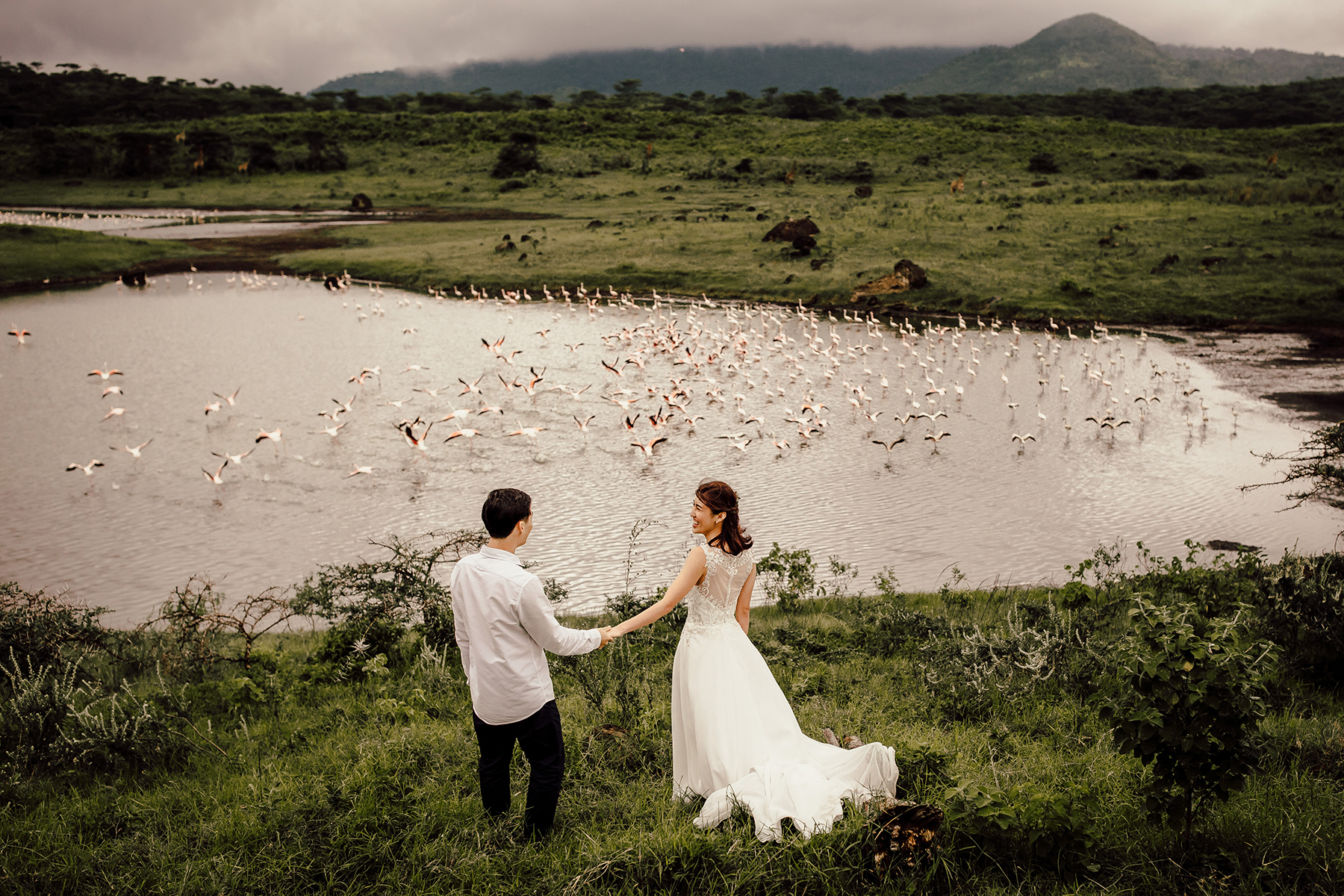 safari elopement wedding africa