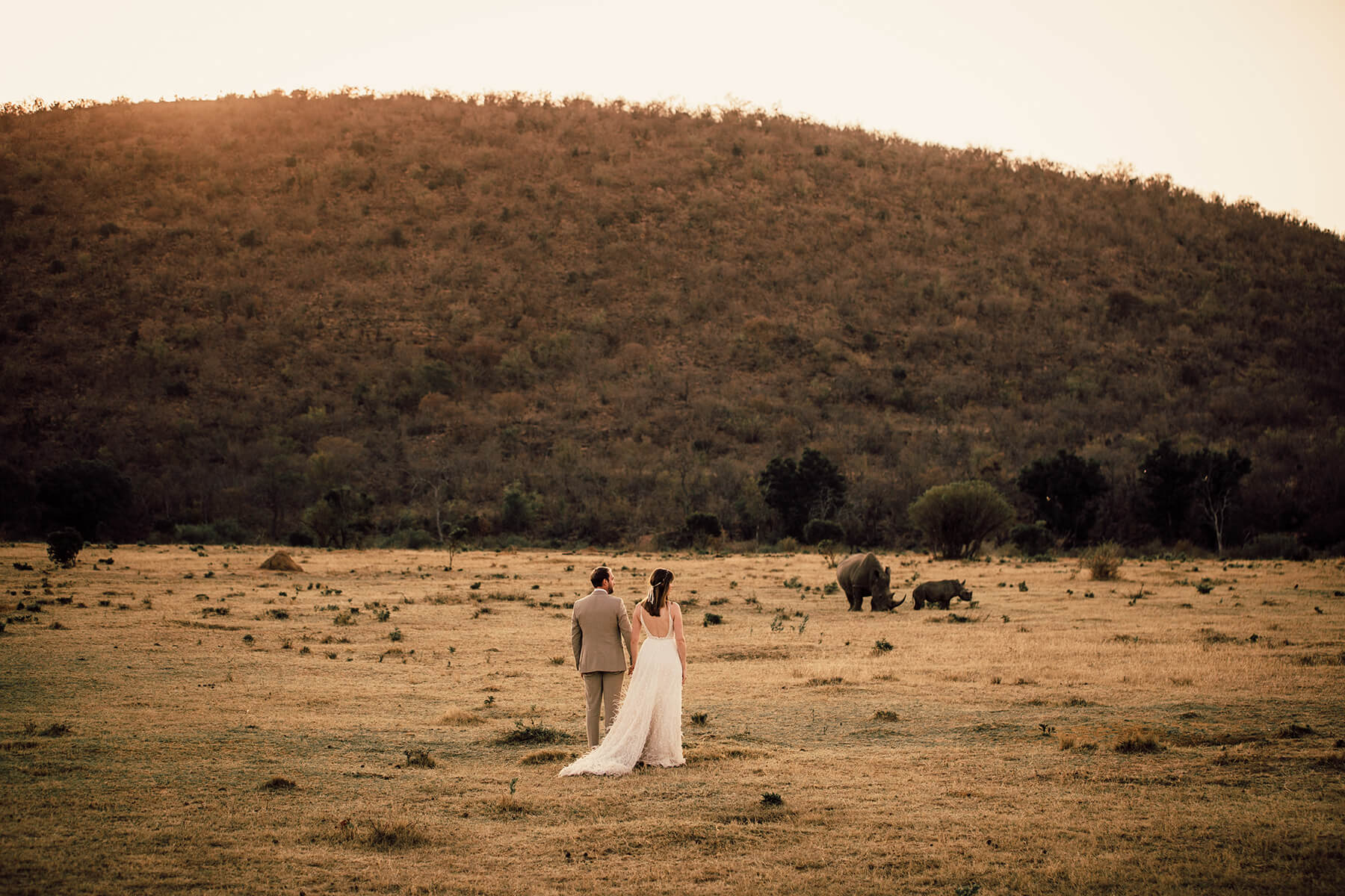 safari elopement south africa