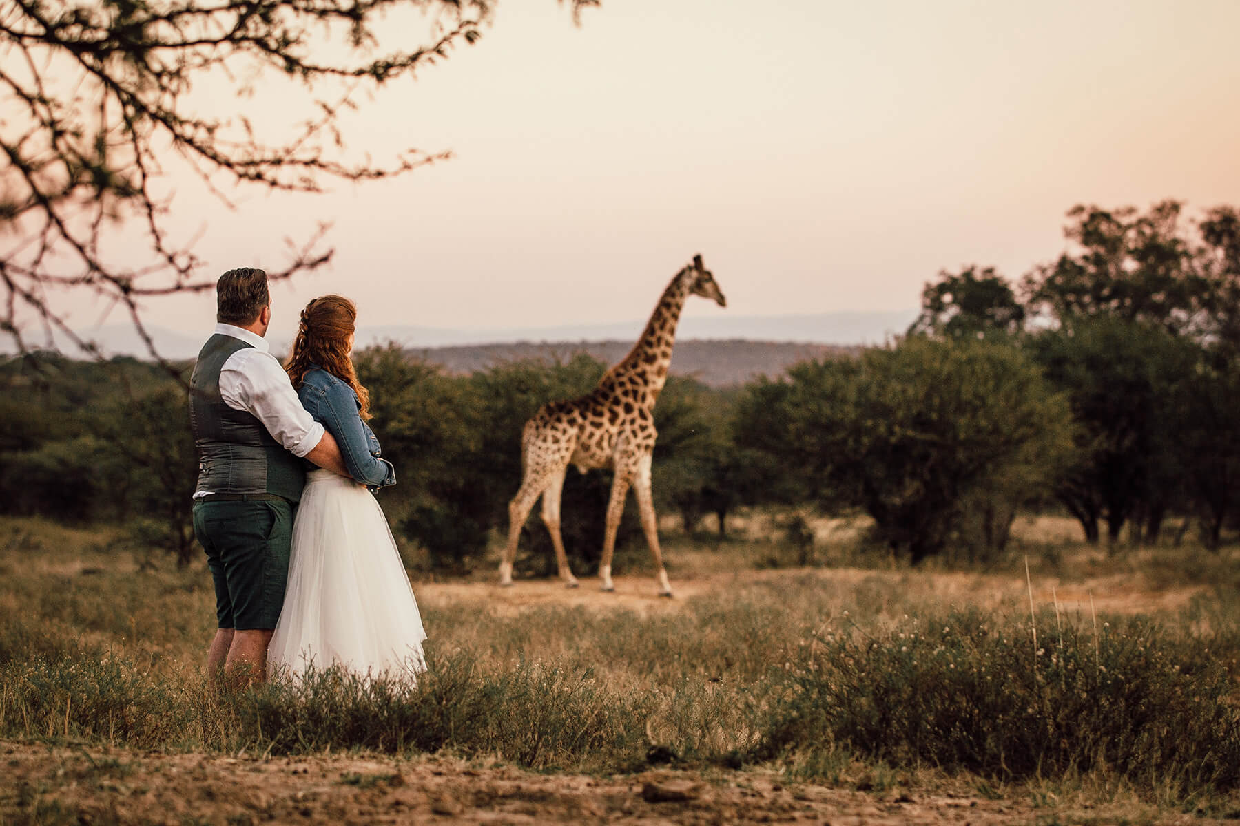 elopement safari wedding giraffe